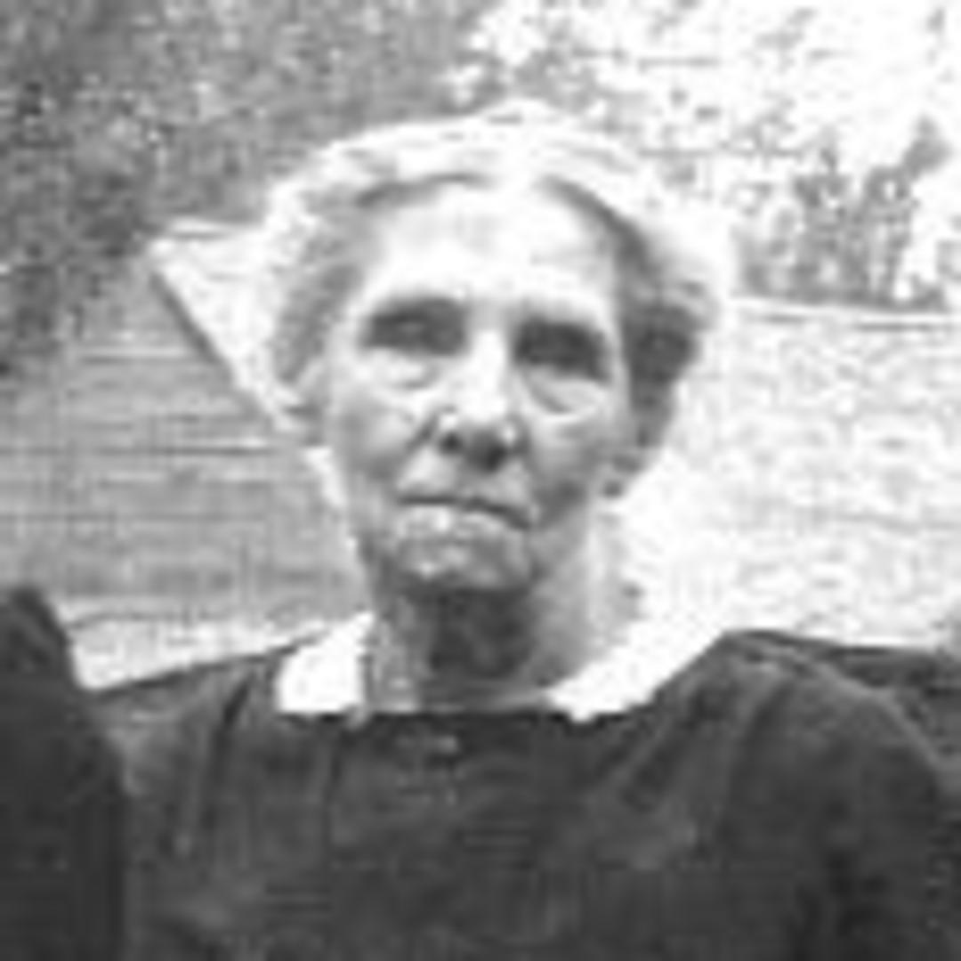 Alice Nuttall (1848 - 1935) Profile